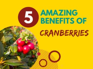 amazing benefits of cranberries image