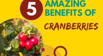 Five Amazing Benefits Of Cranberries